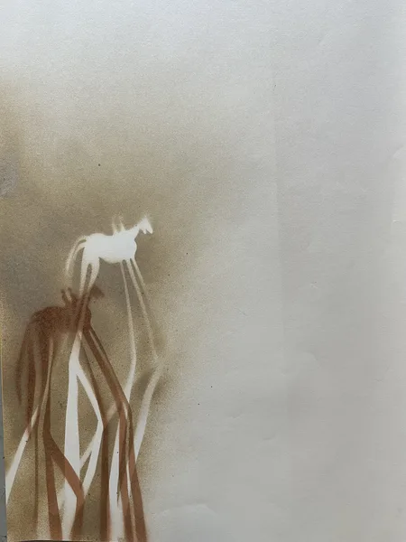 stín 5 šablona sprej 100x70 cm 