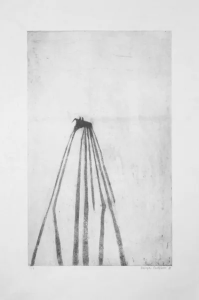 stín 1 lept 46,5x28,5 cm 