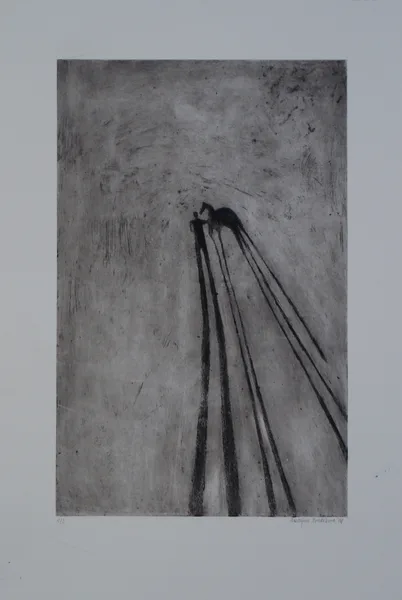 stín 2 lept 46,5x28,5 cm 