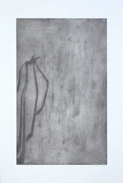 stín 3 lept 46,5x28,5 cm 