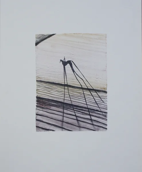 stín 4 litografie 33x24 cm 