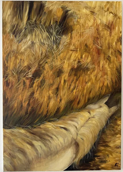 eda 100x70 cm